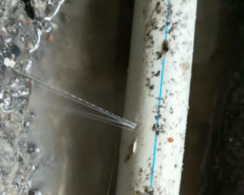 立山卫生间测漏水多少钱