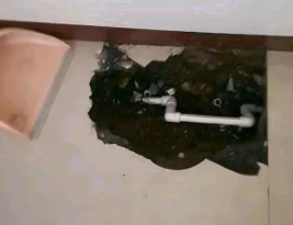 立山卫生间测漏水多少钱